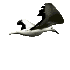 birdtran.gif (3866 bytes)