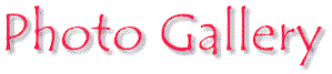 gallery.gif (4446 bytes)
